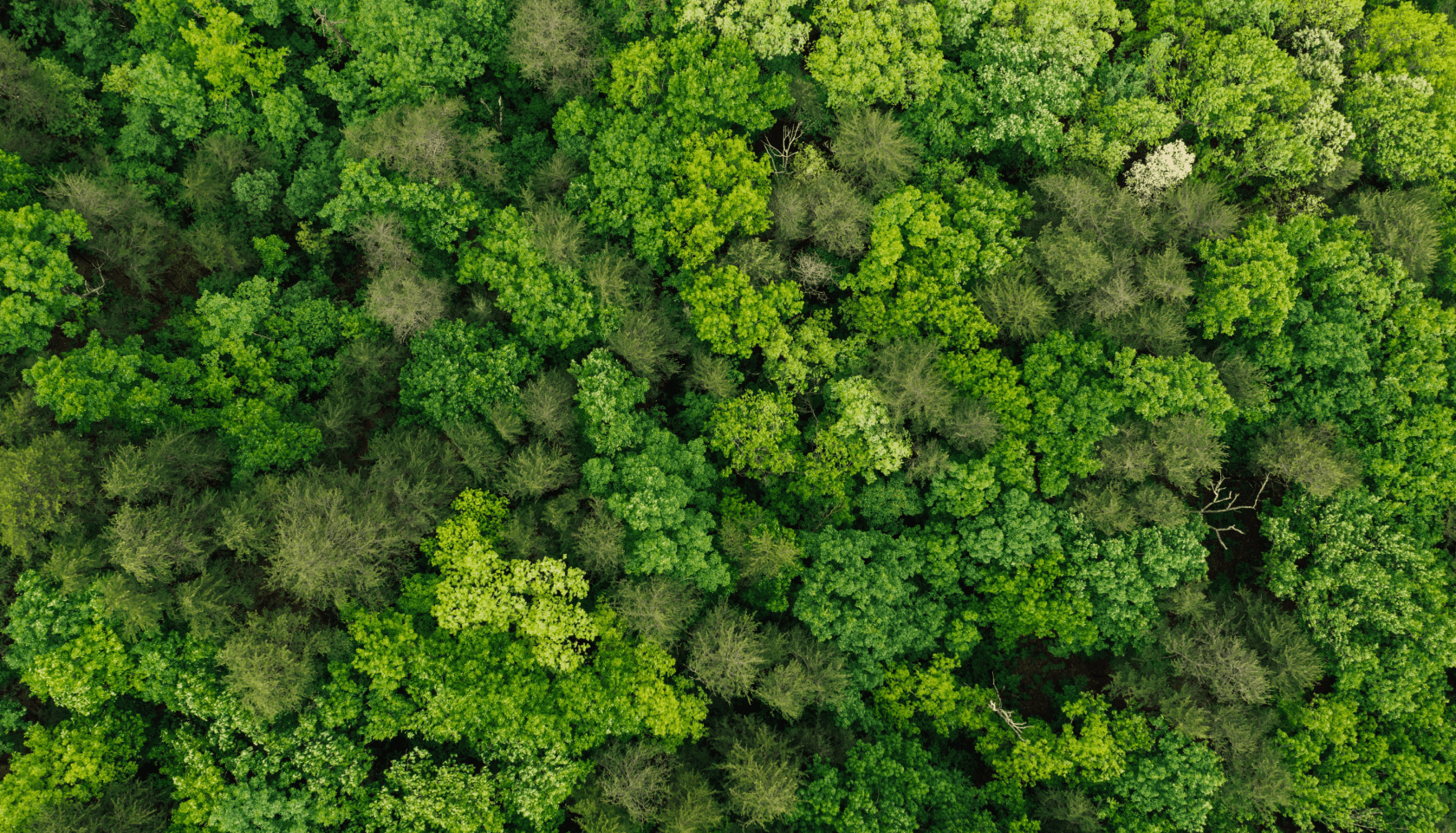 Environmental<br />
Social<br />
Governance