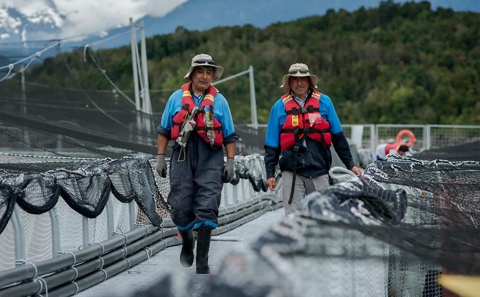 Fondos Concursables Ventisqueros